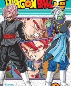 DRAGON BALL SUPER 4 - AKIRA TORIYAMA - TOYOTARO