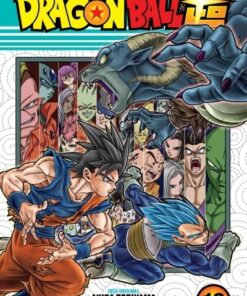 DRAGON BALL SUPER 13